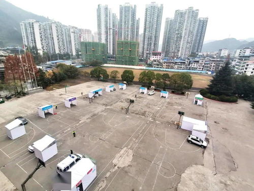 沙坪坝区酉阳智慧管廊案例详解，智慧化改造的典范