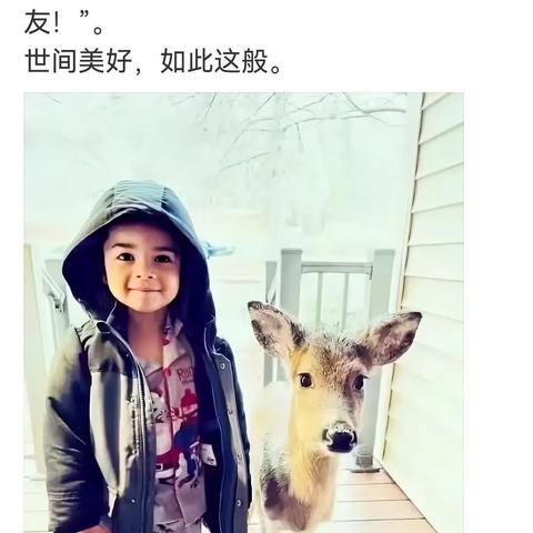 鹿优选额度提现与额度区间详解，一篇文章读懂所有