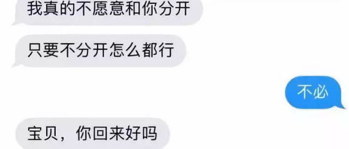 面对微信聊天监控的困境与应对策略，一场法律与道德的较量