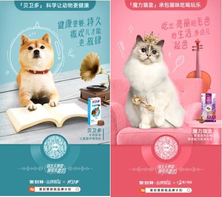 加菲猫母婴品牌，萌宠界的领航者