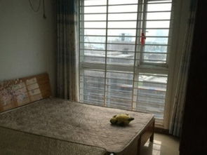 郑州二七区房屋装修指南
