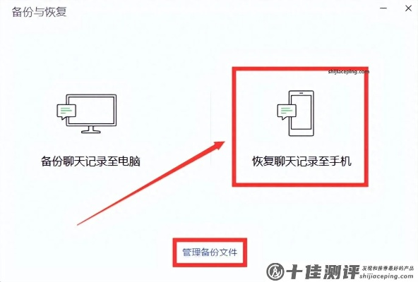 问如何能将聊天记录恢复，实用方法与案例解析