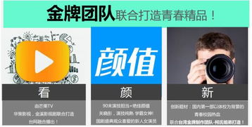 家电砍价大作战，多个品牌联合出击，价格大战一触即发