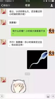 揭秘微信聊天记录，如何查看他人的秘密对话？
