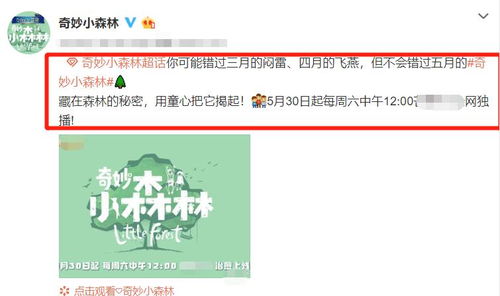羊小咩便荔卡套出来找人，一场奇妙的寻人之旅