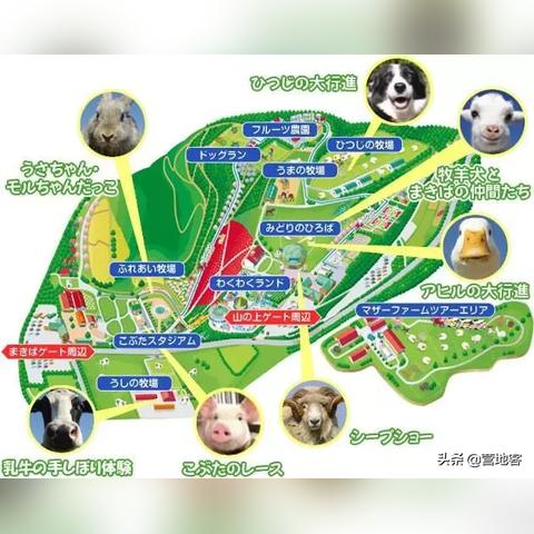 餐饮品牌私人运营公司的运作模式与案例解析
