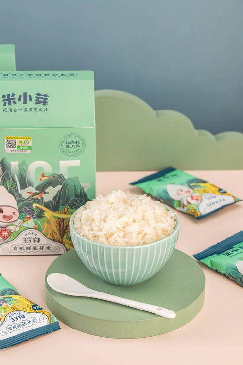 母婴面条品牌，守护宝宝成长的营养之选