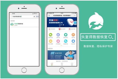 微信聊天记录大揭秘，教你轻松查询历史聊天记录！