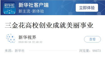 微店放心花，如何巧妙套出金花？实用攻略与案例解析