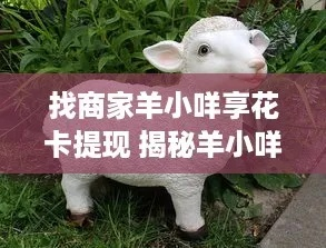 北京羊小咩享花卡，轻松找商家兑现，花式省钱攻略大公开！