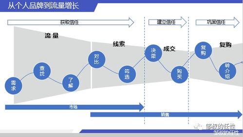 化妆品品牌旗下品牌战略解析，如何打造差异化与协同效应？