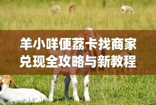 羊小咩便荔卡套出来，如何玩转优惠，最划算攻略大揭秘！