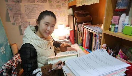 养什么容易发家致富？深度解析与实例探究