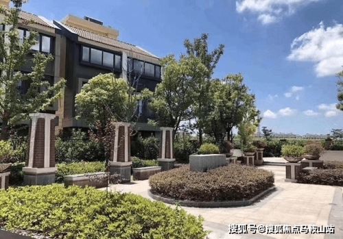 上海医药品牌大盘点，从经典到创新的探索之旅