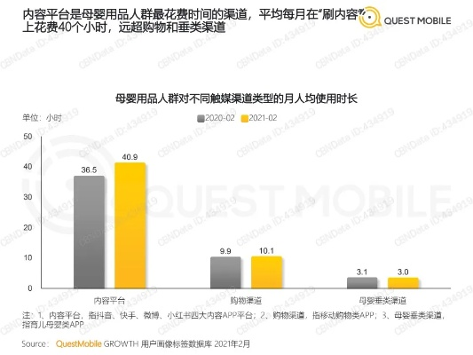 贵妇母婴品牌的市场策略与消费者洞察