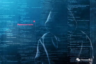 人才网正规黑客24小时在线—揭秘网络安全的幕后英雄