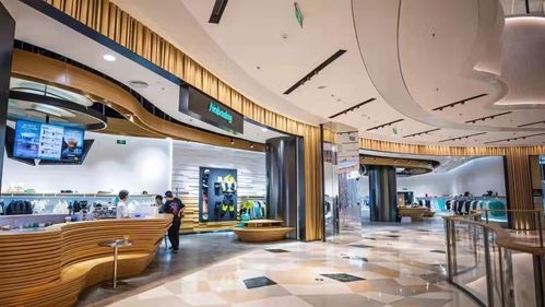 鹿城区店面装修公司品牌精选