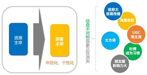 羊小咩便荔卡套，如何打造爆款运营策略