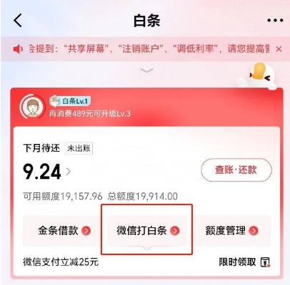 白条提现能分期么？一文全解析