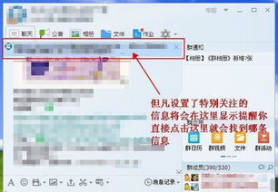 揭秘QQ聊天记录删除后的查询方法，让你不再错过重要信息！