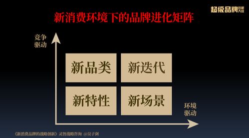 汽车品牌中的T字型战略