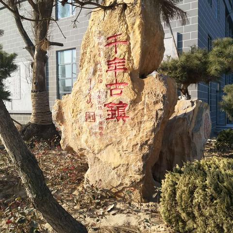 蓝天医药品牌解析