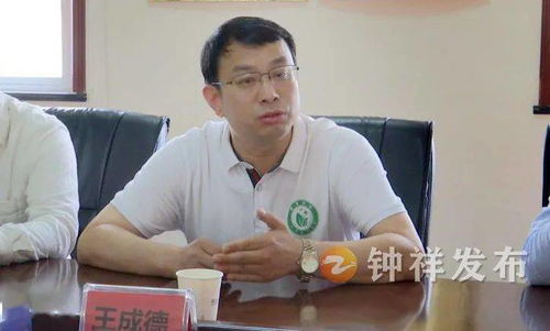 全球电车品牌魅力大比拼