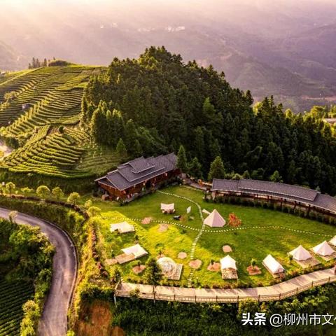 农村致富路，探寻最佳策略与成功案例