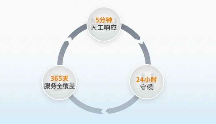 24小时在线接单网站，打破时空界限的高效服务模式