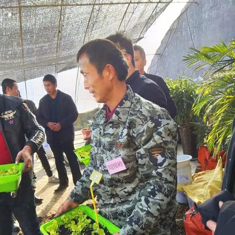 如何查微信以前聊天记录？轻松几步找回旧日对话