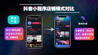 揭秘抖音月付提现接口，轻松变现，你的抖音收益可以这样拿！