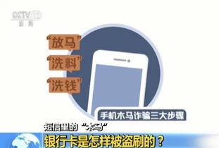 羊小咩便荔卡套出来怎么拿钱？揭秘便捷支付背后的操作指南