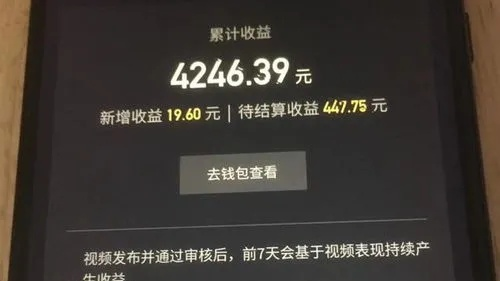 揭秘抖音月付提现那些事儿，交流心得与案例分享