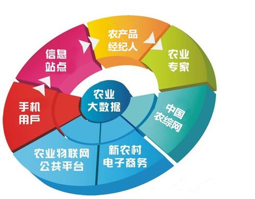 不用树致富，也能找到财富之路，多元化发展策略的启示