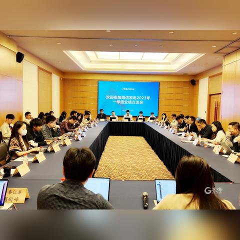 2020年家电品牌营收概览