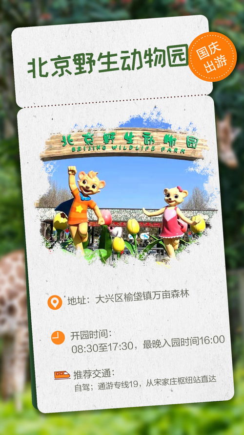 北京羊小咩便荔卡提现那些事儿，现场操作指南与案例分享