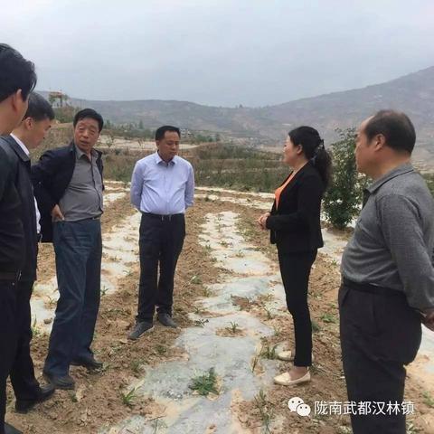 什么不是致富的原因，深度解析与实例剖析