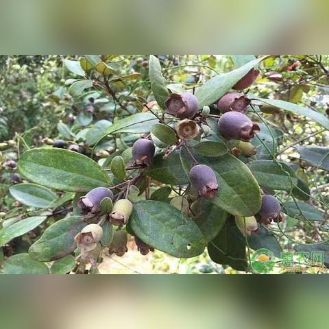 揭秘致富宝，究竟是何方神圣的网站？