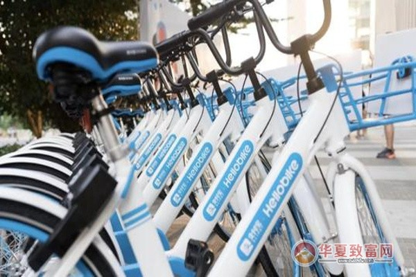 哈啰直营店加盟指南，从入门到精通的全过程解析