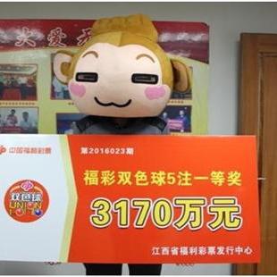 致富彩票究竟是何物？深入了解与案例解析