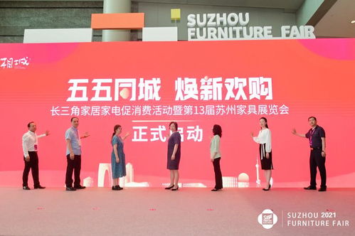 王祖蓝家的家电品牌之旅
