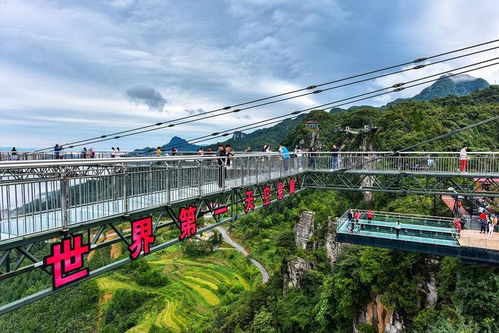 探访武隆智慧管廊应用生产厂家的前沿科技之旅
