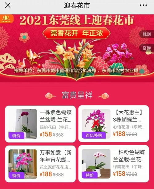 微店放心花，购物套系巧选择