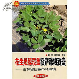 3种植什么致富？看这篇你就明白了！