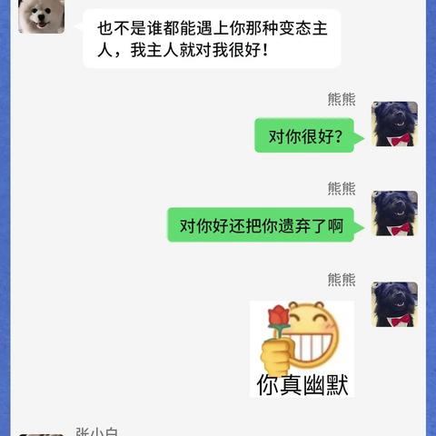 电脑上找回删除的QQ聊天记录，揭秘恢复技巧与案例分享