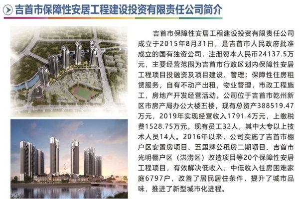 吉首市创业担保公司概览，种类、服务与案例