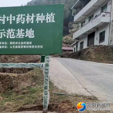 种植什么中药材能致富？看我一一揭秘！