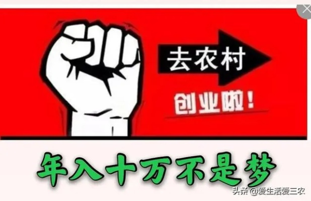 农村如何捋准方向实现致富梦想