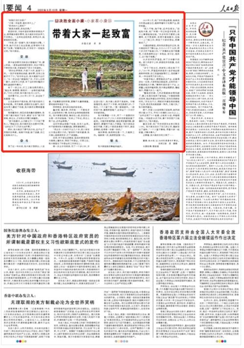 什么叫致富带头人