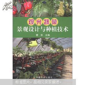 大棚致富的良方与案例解析